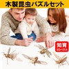 NOELAMOUR Wooden 3D Puzzle, Insects, 3D Puzzle, For Kids, Toys,