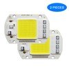 Tesfish 2PCS LED COB Chip 50W 110V White Light Engine