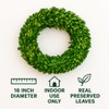 Preserved Boxwood Wreath for Summer Decor – 16 Inch Lush