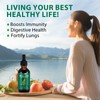 Mullein Leaf Extract for Lungs, Mullein Drops for Lungs, Support