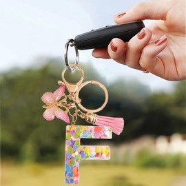 Luzvienzee 2 PCS Alphabet Keychain Initial Letter Keyrings for Women Teenage Girls, Butterfly Tassel Pink Pendant, Cute Crystal Glitter Sparkling Key Ring (Pink F)