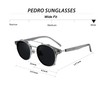 Technigadgets Pedro Steampunk - anteojos de sol de doble lente