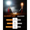 GloDrv [2025 Upgrade] 921 912 Led Bulb Cargo Light Fit