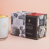 Lollia Elegance Luminary, 11 oz – 70 Hour Burn Time