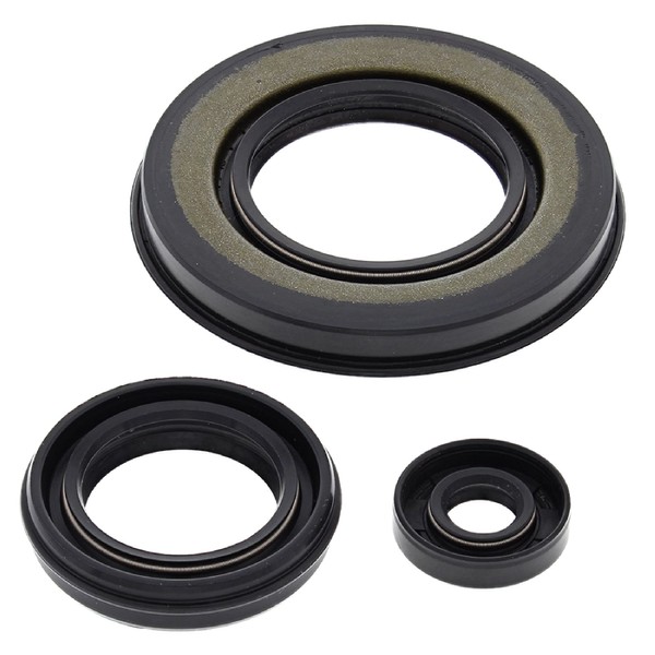 Vertex New Winderosa Sealing Gaskets for Mountain Max 600 2000