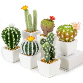 Mini Artificial Cactus Plants in Ceramic Pots 6 Pcs Potted Faux Succulents in Pots Fake Potted Plants Cactus Decor Small Artificial Plants for Home Decor Indoor Office Desk Tabletop Shelf