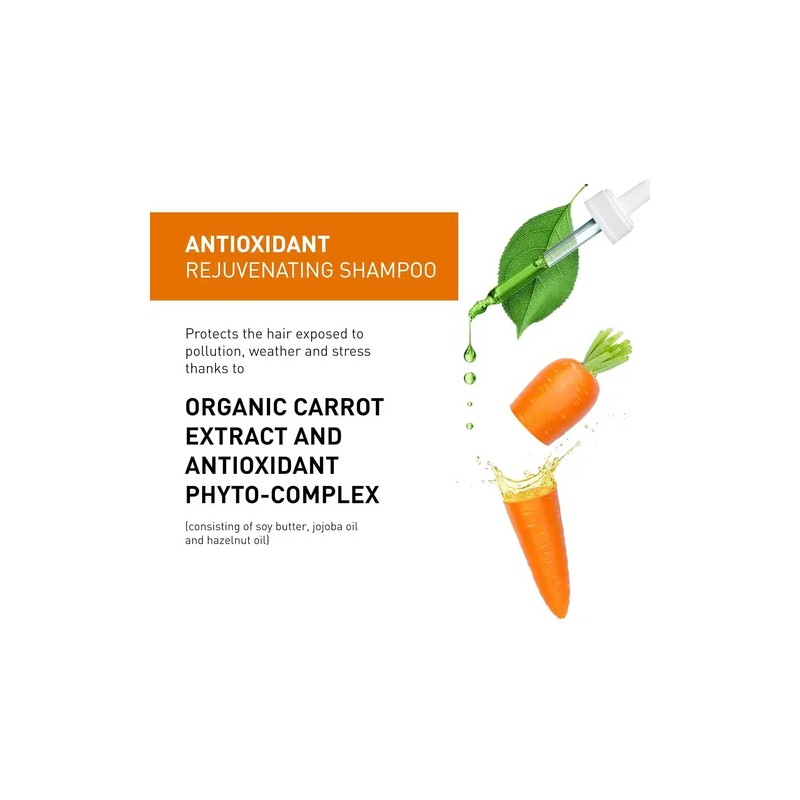 Insight Clean Beauty Champú Hidratante, Antioxidante, Rejuve