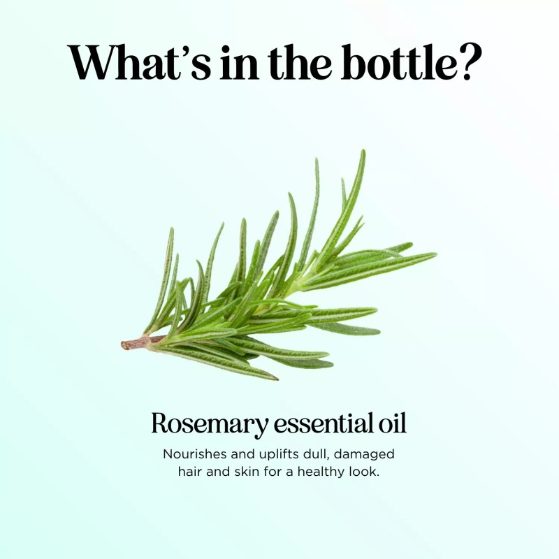 Maple Holistics Pure Rosemary Essential Oil with Dropper