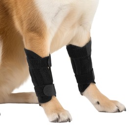 CIATBYYJ Black Dog Leg Sleeve, Pair of Front Leg Brace Protects Wounds Stop Licking, Dogs Braces for Back Legs Support, Dog Splint Front Legs Prevents Injuries and Sprains - L Size