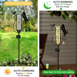 Hokfirm Rain Gauge Outdoor,Decorative Metal Black Cat and Bird Solar Light Stake with Rain Gauges Best Rated for Yard,Garden,Lawn, Pathway, 7" Glass Tube