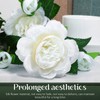 MAGICLULU 6Pcs Peonies Artificial Flowers White Fake Peonies Bouquet Silk