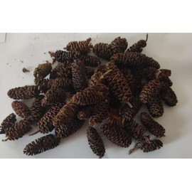 Natural Alder Cones for Aquarium, Large Size, Black Water Treatment, Shrimp and Betta Fish Tank Botanical, pH Lowering (50 Alder Cones)