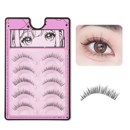 XUZOO Natural Popular False Eyelashes Soft Eyelashes Black False Eyelashes Beginner Pro 5 Pairs (Style 2)