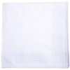Men's Formal Handkerchief, White, Off-White, Ceremonial Occasions (Off White Plaid)