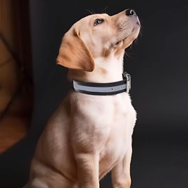 Campsis 2PCS Reflective Dog Collar Adjustable Metal Buckle Dog Collars Puppy Collar with Reflective Strip for Small Medium Large Dogs (XL=14.2-18.1inch)