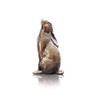 Butler & Peach Detailed Small Solid Bronze Hare Moongazing