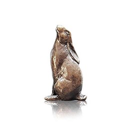 Butler & Peach Detailed Small Solid Bronze Hare Moongazing