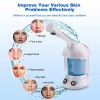 DENFANY Hair Steamer, 2 in 1 Hair and Face Steamer