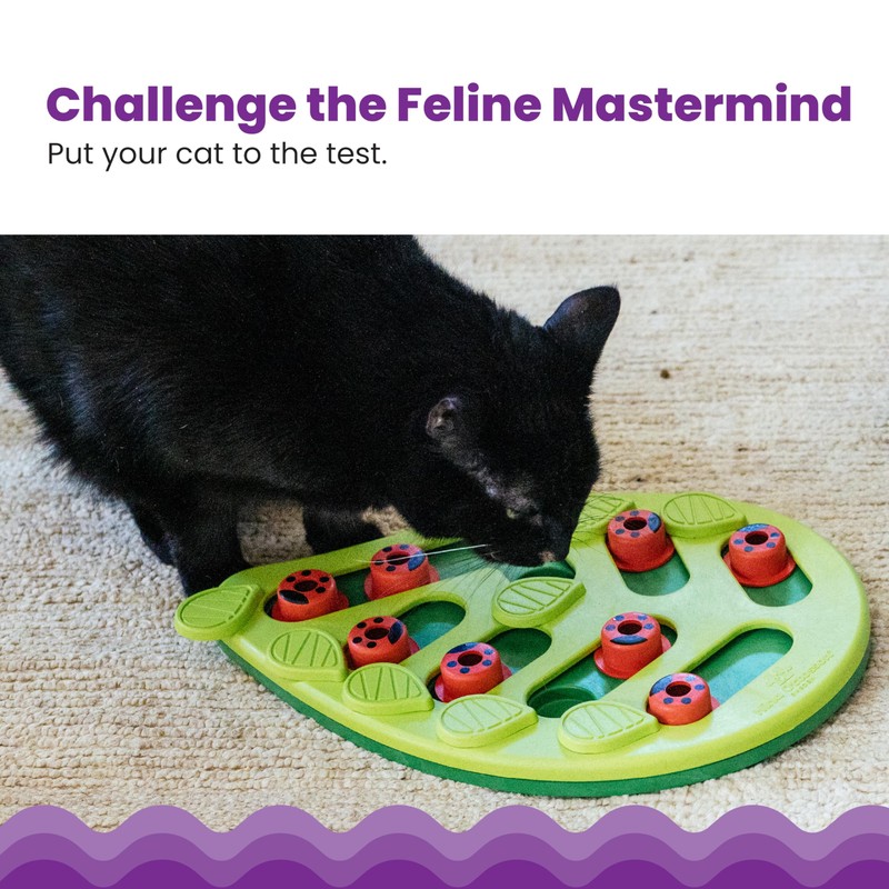 Catstages Buggin' Out Puzzle & Play, Interactive Treat Puzzle Cat