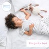 2X Jersey 100% Cotton Fitted Sheet for 160 x 70