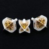 CUESOUL TERO AK4 Dart Flights Standard Shape with Attractive Pattern,
