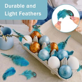 Molirex 160Pcs Blue Feathers for Crafting 8 Styles Pheasant Craft Feathers