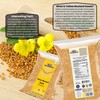 Rani Yellow Mustard Seeds Whole Spice 32oz (2lbs) 908g ~
