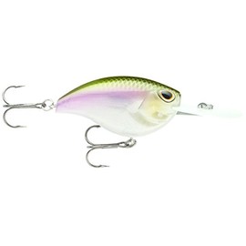 Storm Arashi Flat 07 Fishing Bait, Wakasagi