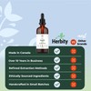 Herbity Horsetail Tincture – Alcohol-Free Herbal Extract for Hair, Skin,