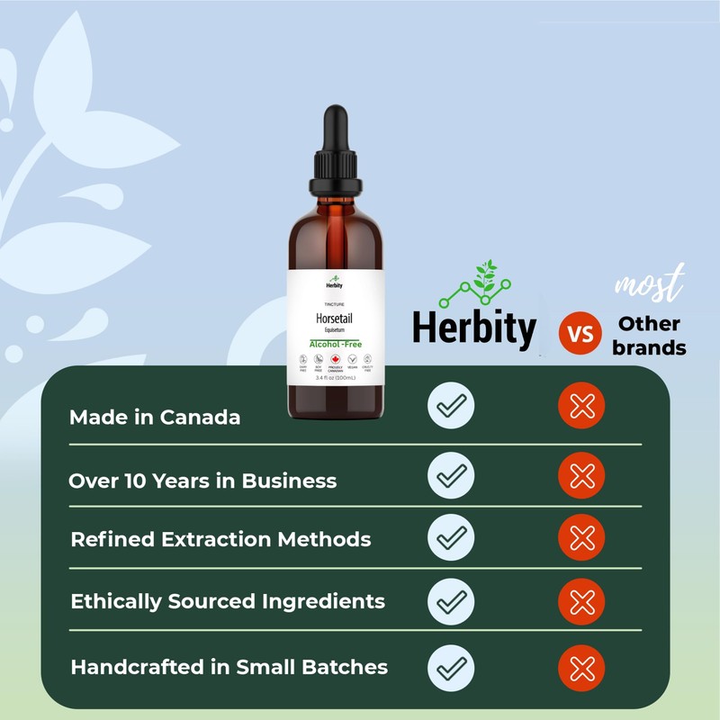 Herbity Horsetail Tincture – Alcohol-Free Herbal Extract for Hair, Skin,