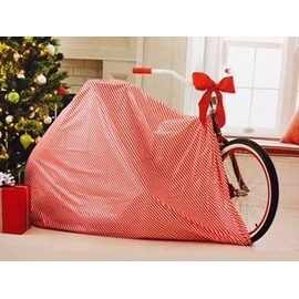 Bicycle Gift Bag