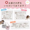 Momonga Pouch, Outing, Top Closure, Hamster, Carry Bag, Carrying Case,