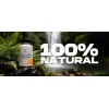 Cordyceps Power Kardagar Suplemento Extracto Hongo Puro Sabor Sin sabor