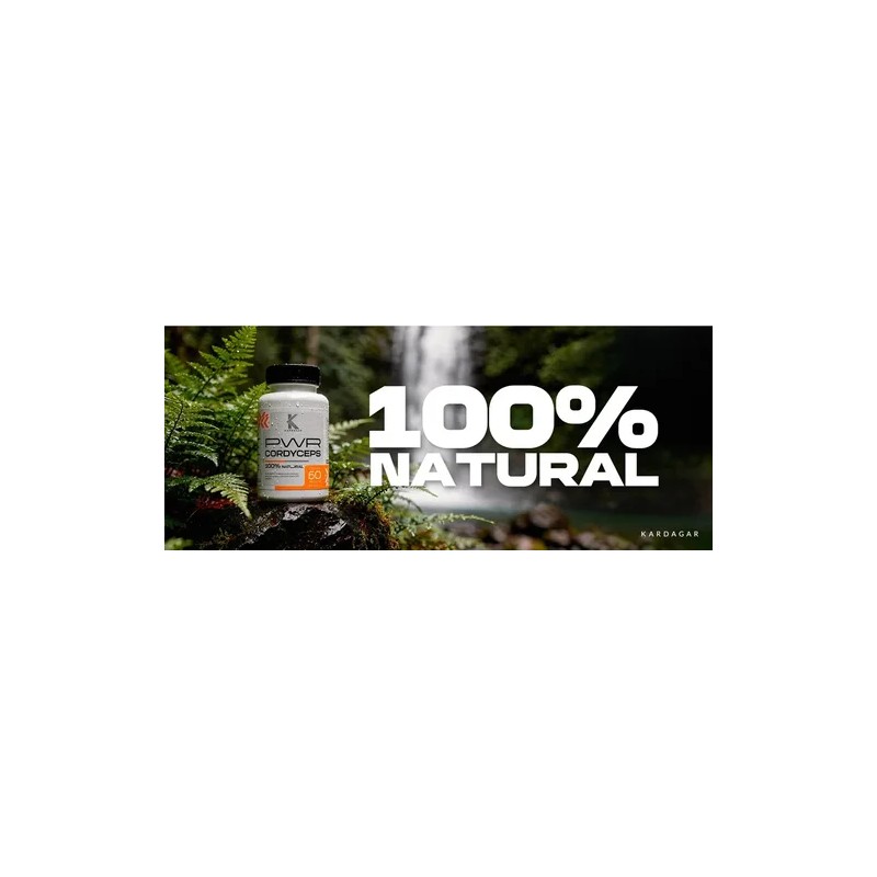 Cordyceps Power Kardagar Suplemento Extracto Hongo Puro Sabor Sin sabor
