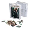 Philos Hermione Granger 9042-3D Puzzle in Collector's Box, 300 Pieces,