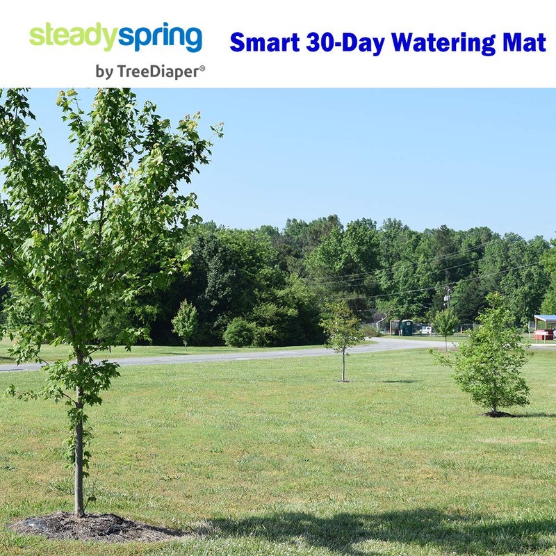 SteadySpring® Smart 30+Day Tree Watering Mat Auto Refills with Rain