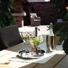 Fink 105002 Kalas Stainless Steel Champagne/Wine Cooler, Silver, 19 x