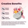 Flat Tummy Pre Workout Powder for Women – Energy, Endurance,