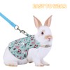 Rabbit Harness and Leash Set,Adjustable Ferret Training Vest Lead with
