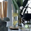 Biodegradable Sugarcane Straws Paille (100 pcs) Eco-Friendly Straws Disposable Plastic-Free