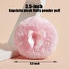 Luxury 4.2 Inch Glass Powder Container with 2 Plush Puffs｜Non-Sealed
