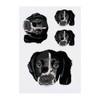 4 x 'Springer Spaniel Puppy' Temporary Tattoos - Water Resistant,