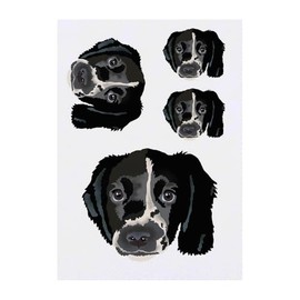 4 x 'Springer Spaniel Puppy' Temporary Tattoos - Water Resistant, Skin-Safe, Non-Toxic Transfers, Mixed Sizes (TO00083978)