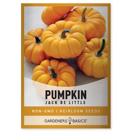 Gardeners Basics Mini Pumpkin Seeds for Planting (Jack Be Little) Small Heirloom, Non-GMO Vegetable Variety, 5 Grams Seeds Great for Summer Pumpkin Gardens