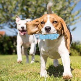 R and R Imports Stryker Ohio 2 Ounce Square Base Liquor Shot Glass Retro Design