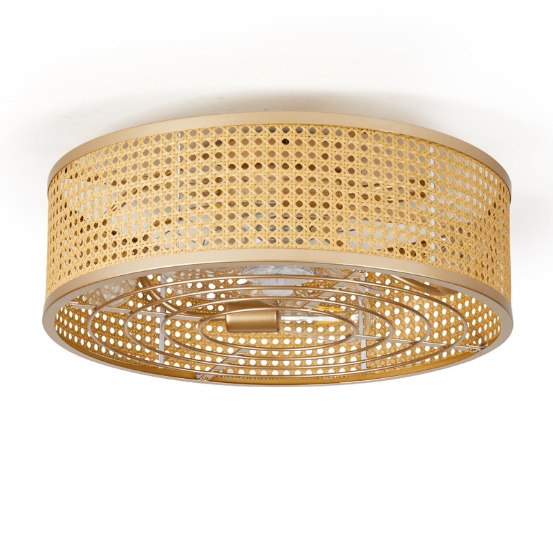 ainqiant Boho Caged Ceiling Fan with Light, 20'' Rattan Flush