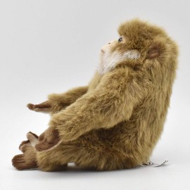 bh6319 hansa monkey 15