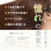 [24 Years Design] Natural Collagen Moisturizing Salon Collagen Solution