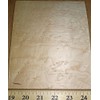Birdseye Maple Wood Veneer 7"-8" x 5"-6" with Paper Backing