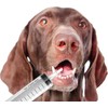 2 Pack Large Syringes, Large Plastic Garden Industrial Syringes for